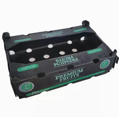 Frucht-Verpackenkasten-Polypropylen-Früchte der Breiten-2200mm, die Plastikkasten verpacken