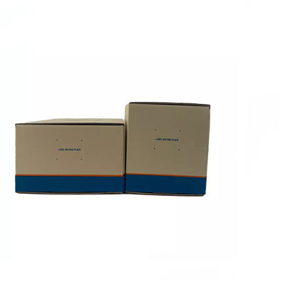 Matt Lamination Auto Parts Packaging-Kasten/Verpackungs-Kasten-Karton runzelten SGS