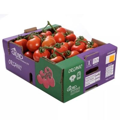 Faltende Frucht Soems Pappund kundengebundene Größe Veg Kästen