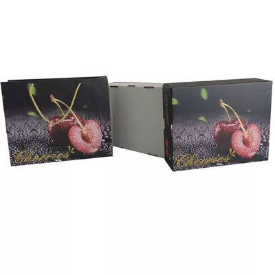 KÖNIGLICHE verpackende Frucht, die Kasten-Luxusgewölbtes mit Taschen verpackt