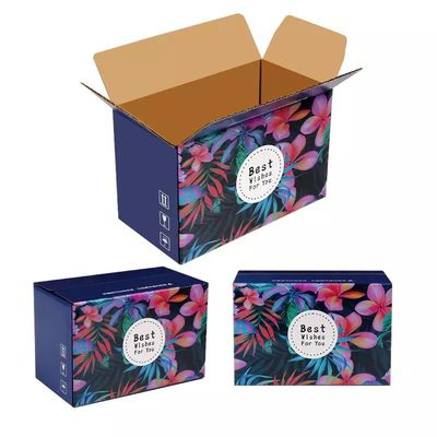 5 Falten-harte Pappfrucht-Verpackenkasten-gewölbter Frucht-Karton-Kasten