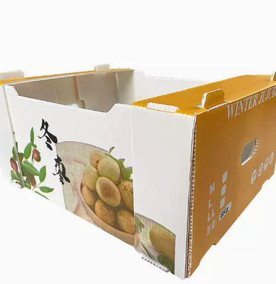 Pp.-Plastik	Das Frucht-Verpacken packt hohler Platten-Umsatz-Kasten-Antistatisches ein
